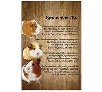 Panneau vintage en métal « Cochon d'Inde » (Souviens-toi de moi) - Décoration murale rustique pour bar, club, cave, maison ou cuisine - 15 x 30 cm