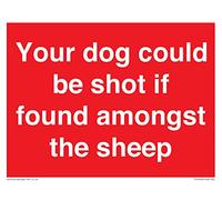 Panneau « Your dog could be shot if found among the sheep » - 200 x 150 mm - A5L