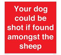 Panneau « Your dog could be shot if found among the sheep » - 400 x 400 mm - S40
