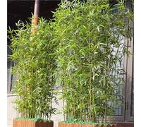 Panneaux de clôture en bambou artificiel pour usage extérieur et commercial