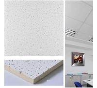 Panneaux de plafond 60 x 60 x 1,2 cm - 14 pièces - en fibre minérale - Lot de 5,04 m² - Absorbant - Finition fissurée - En appui