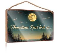 Panneaux décoratifs pour décoration d'intérieur, ciel nocturne, sérénité : rêves au clair de lune avec libellules - Décoration murale d'extérieur - Cadeau de jour du patron (20 x 30 cm)