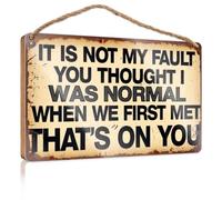Panneaux décoratifs pour décoration d'intérieur « It'S Not My Fault You Thought I Was Normal » - Panneau en bois pour porche - Décoration d'automne - Panneau Hello Winter (20 x 30 cm)