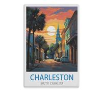 Panneaux en Métal pour Plaque D'Étain Pinball Gaming Salle Panneaux Vintage Drôle Plaque Rétro Pub Club Bar Murales Aire Jeux Extérieure Sport Décoration Porte，Charleston Caroline du Sud30x40)A650