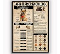 Panneaux métalliques de connaissance de Cairn Terrier, affiches infographiques vintage de Cairn Terrier, décoration murale scientifique de chenil, amoureux des chiens, maison, animalerie, ferme, plaqu