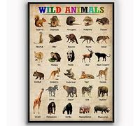 Panneaux métalliques de connaissance des animaux sauvages, décoration murale, types d'animaux sauvages, affiche rétro, plaque infographique de zoologie, décoration d'école, de classe, de maison, d'é
