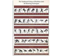 Panneaux métalliques de connaissance du judo, décoration murale, affiches de judo traditionnelles Gokyo du Kodokan, 40 techniques de lancer, plaques de guidage, signe en étain vintage pour salle de