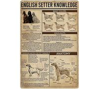 Panneaux métalliques en étain avec connaissance du Setter anglais, affiches de Guide d'encyclopédie de chien d'infographie Vintage de Setter anglais, plaques de décoration murale de maison de chenil d