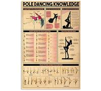 Panneaux métalliques rétro pour pole dance, décoration murale, affiches de pole dance, plaque imprimée, club, maison, 20 x 30 cm
