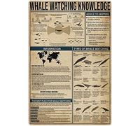 Panneaux métalliques sur l'observation des baleines, infographie sur l'observation des baleines, affiches en étain, plaques de guide d'observation des baleines, décoration murale pour la maison, la ch