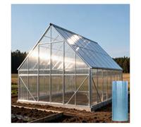 Panneaux Transparents pour Serres, Revêtement Mural Toiture Transparents pour Extérieur, Serres, Abris Jardin, Abris Voiture, Panneau Remplacement Abri de Jardin(0.8x1m/2.62x3.28ft)