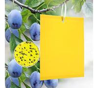 Panngu 20 Pièces Jaune Mouche piège Double Face, Pièges à Insectes pour Insectes Volants - Serre Et Dehors, Pucerons, Poucherons Fongiques, Pucerons, Mouches.(15x20cm)