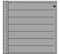 PANODIA Feuillets Pergamin XTAL 135 Nega (x25)