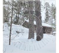 Panopticon - Scars of Man on the..