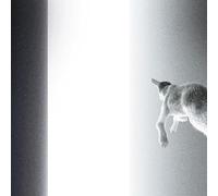 Panoram - Keep Looking Where the Light Comes from