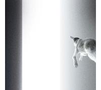 Panoram – Keep Looking Where the Light Comes from – Vinyle LP 12" – Victrola