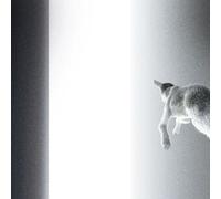 Panoram - Keep Looking Where The Light Comes From [Vinyl Lp]