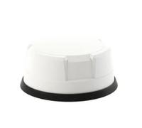 Panorama Antennas 4G/5G 4x4 MiMo 4x4 MiMo WiFi GPS/GNSS -WHT, W127276664 (GPS/GNSS -WHT)