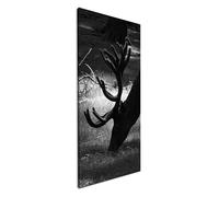 Panorama Cerf rouge en train de manger 80 x 40 cm Effet : noir et blanc comme image sur toile, motif monté sur cadre en bois véritable, impression numérique de qualité supérieure avec cadre
