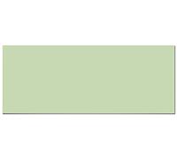 Panorama Crédence Adhésive Cuisine Menthe Lisse 40x100 cm - Protege Mur - Protection Anti Eclaboussure