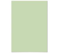 Panorama Papier Peint Adhésif Menthe 66x200 cm - Imprimé sur Vinyle Textile de haute qualité - Installation Facile et Résistant