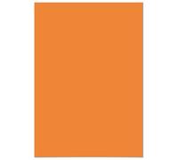 Panorama Papier Peint Adhésif Orange Clair 66x200 cm - Imprimé sur Vinyle Textile haute qualité - Installation Facile et Résistant