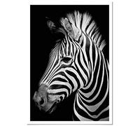 Panorama Poster avec Passepartout Zèbre 35x50cm - Imprimée sur Poster 250gr - Animaux - Affiche