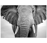 Panorama Poster Éléphant 50x35cm - Imprimée sur Poster 250gr - Animaux - Affiche