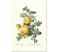 Panorama Poster Vintage Rose Jaune 50x70 cm - Imprimée sur Poster 250gr - Tableau Décoratif Mural - Affiche