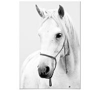 Panorama Tableau Cheval 21x30cm - Impression sur Toile avec Châssis en Bois - Affiche Animaux