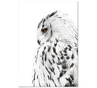 Panorama Tableau Chouette Droite 70x100cm - Impression sur Toile avec Châssis en Bois - Affiche Animaux