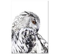 Panorama Tableau Chouette Gauche 70x100cm - Impression sur Toile avec Châssis en Bois - Affiche Animaux