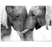 Panorama Tableau Couple Éléphants 70x50cm - Impression sur Toile avec Châssis en Bois - Affiche Animaux