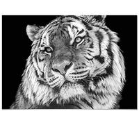 Panorama Tableau Tigre 70x50cm - Impression sur Toile avec Châssis en Bois - Affiche Animaux