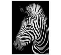 Panorama Tableau Zèbre 35x50cm - Impression sur Toile avec Châssis en Bois - Affiche Animaux