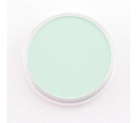 Panpastel 9ml Permanent Green Tint - Vert Permanent