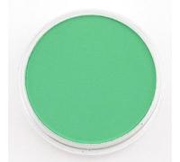 Panpastel 9ml Permanent Green - Vert Permanent