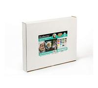 PanPastel Colorfin, Kit de réalisme général Kirsty Rebecca (30254) - Pastels d'artistes - 20 couleurs