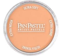 PanPastel Goldden Pastels pour artistes de 62 mm de diamètre, format de poêle unique (forme de gâteau)