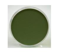 Panpastel Pastel Poudre ML 9 26603-Ver / Oss.shade