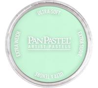 PanPastel - Peinture Pastel pour Artiste - 640.8 Vert permanent Teinte