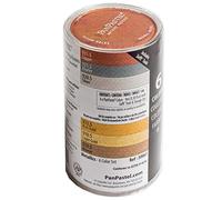 Generique Set PanPastel – 6 couleurs métalliques – Multicolore