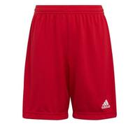 Pantalon ADIDAS Entrada 22 Rouge - Homme/Adulte S