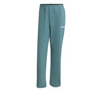 Adidas Terrex Multi Liteflex Pants Gris S / Regular Homme