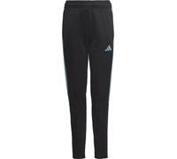 Pantalon Adidas Tiro 23 Club Training IC1588