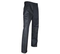 Pantalon brag. à boutons PLACO GRIS - LMA LEBEURRE - 1733 36