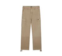 Dickies Johnson Cargo Pants Beige 30 Homme