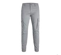 Jack & Jones Paul Flake Ana Cargo Pants Gris 33 / 32 Homme