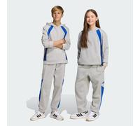 adidas Unisex Kinder Color Block Pants, Medium Grey Heather/Team Royal Blue/Glow Blue, 13-14 Years