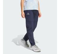 Adidas Terrex Xperior Utilitas Clima365 Zip-off Pants Noir 40 / Regular Femme